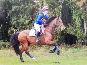 Bay pony cantering across country in Annaharvey