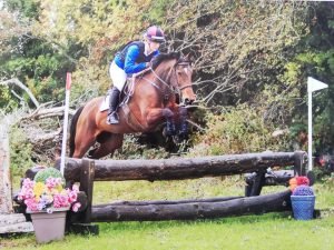 Bay pony jumping a cross country fence