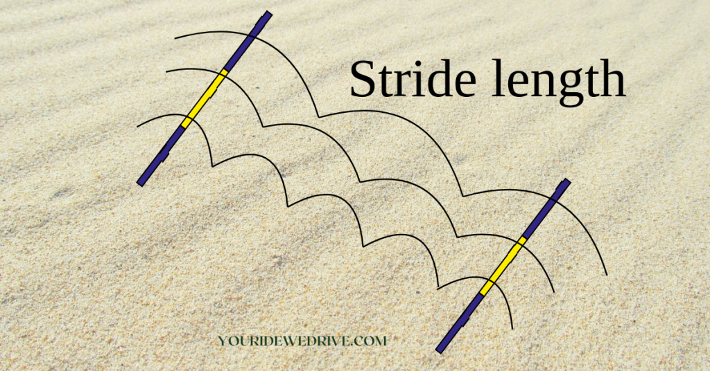 get to know your horses canter stride length