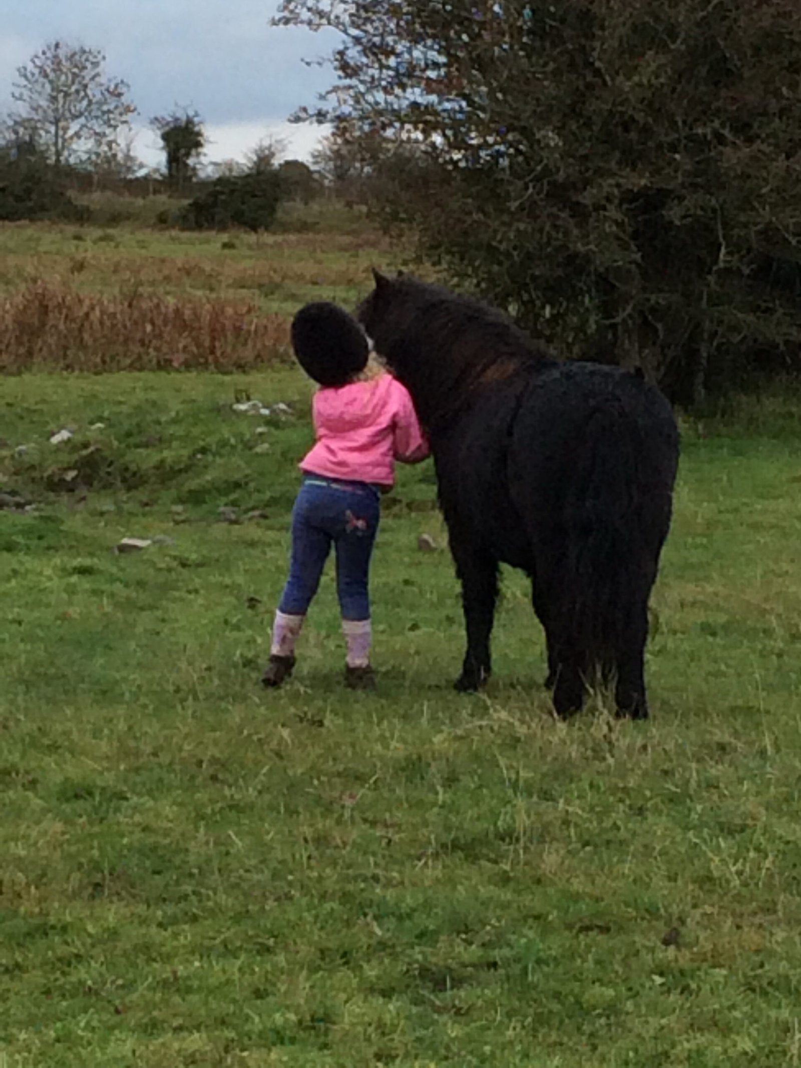 Pony love at youridewedrive