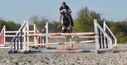 Touchy Subject a piebald pony jumping a big oxer