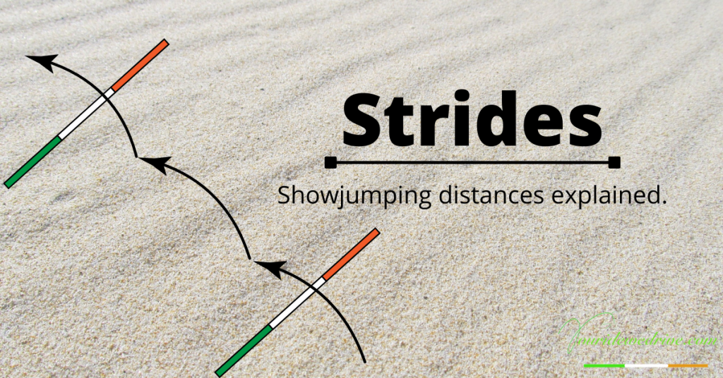 Strides! Show jumping distances explained • Youridewedrive