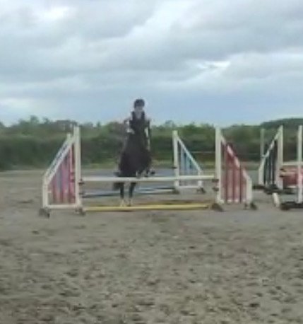 Foxhall Ranson a black 12'2 pony jumping an oxer