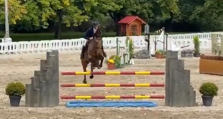 Moyglass Dakota an Irish sport horse jumping an upright with a watertray